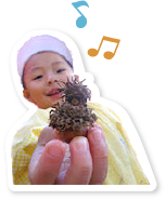 就職までの流れの写真